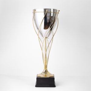 Italian Silver Cup with Gold