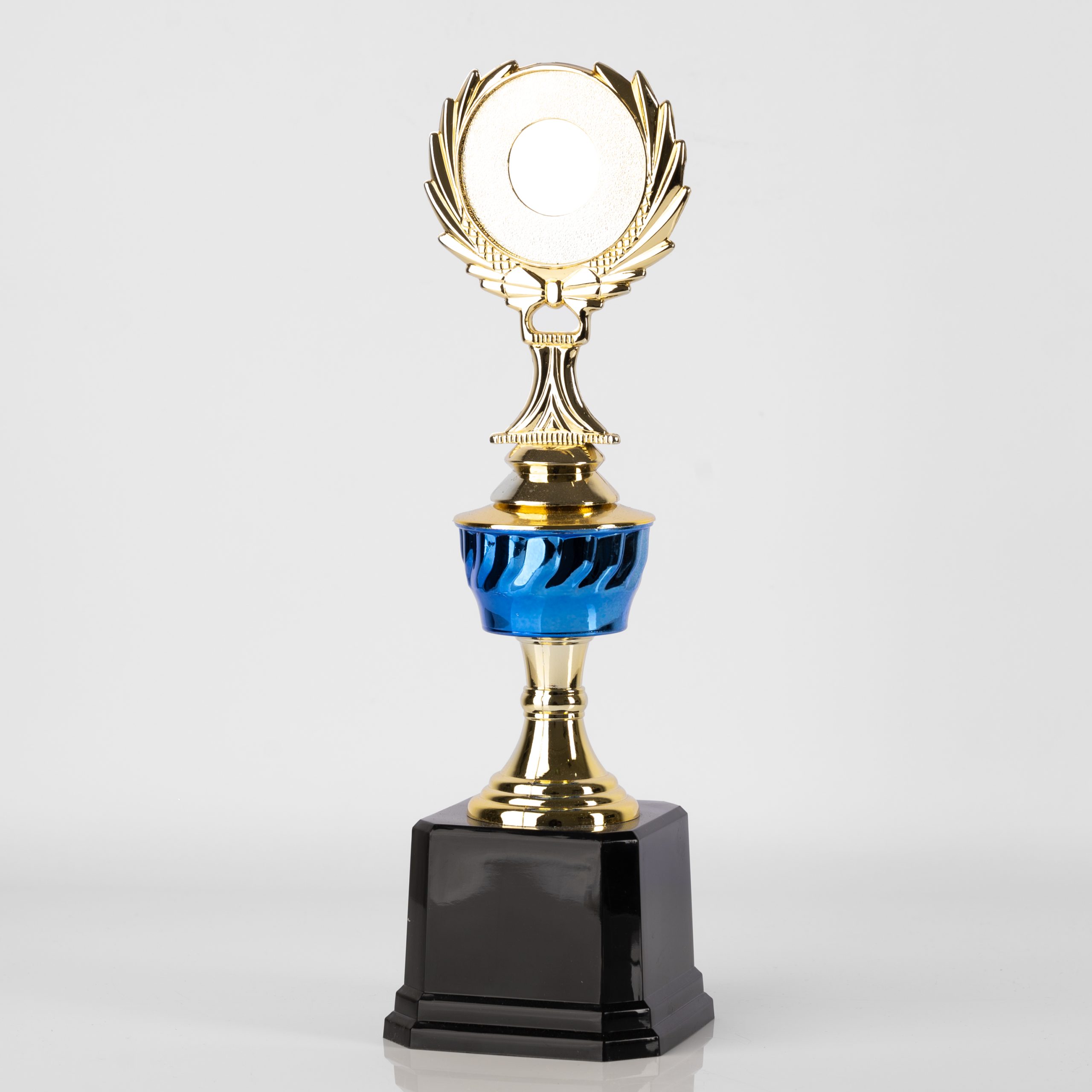 Blue Eminence Award - Image 3