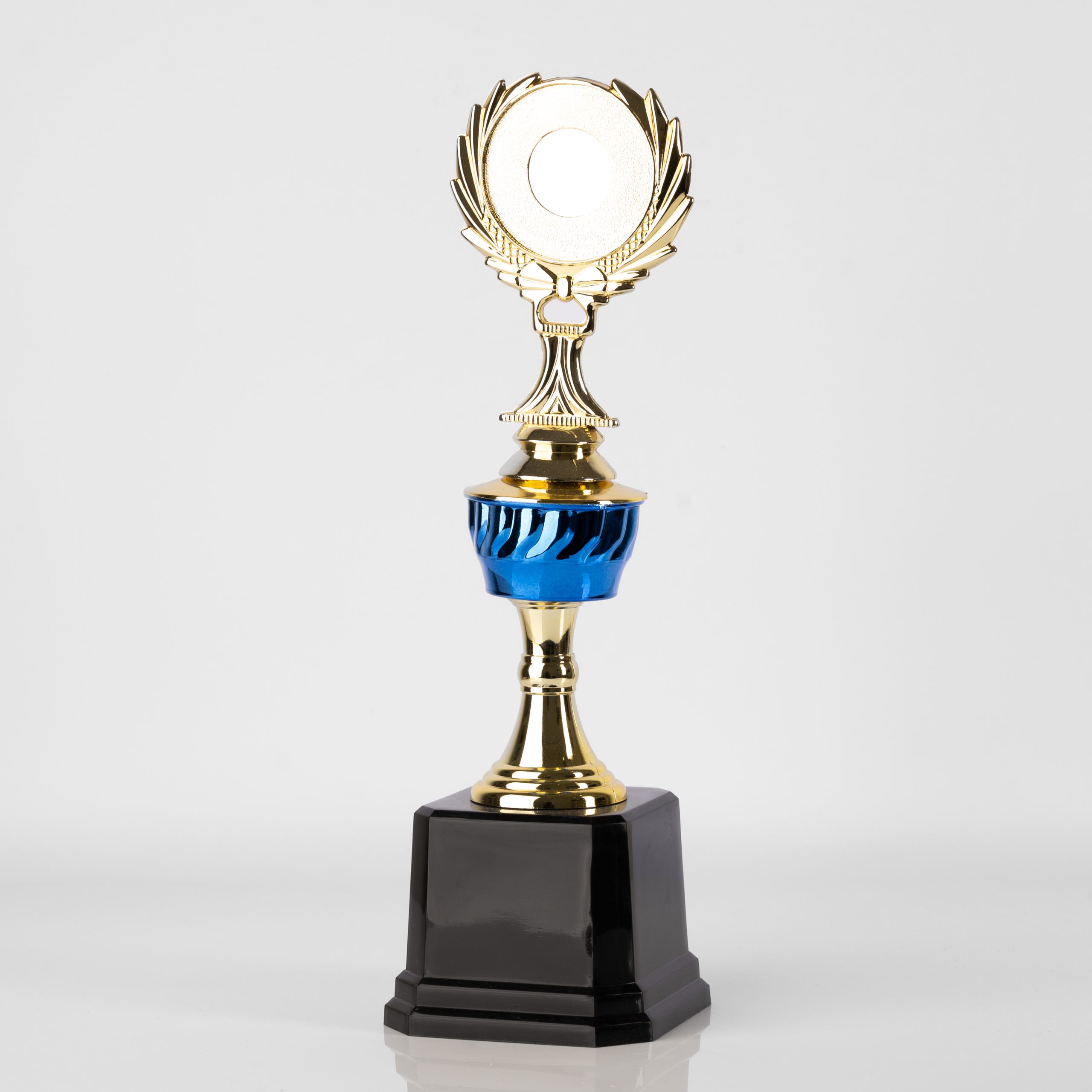 Blue Eminence Award - Image 4