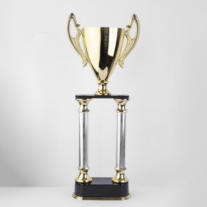 Brazilian Prestige Cup