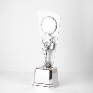 Brazilian Silver Glory Trophy