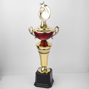 Brazilian Star Award
