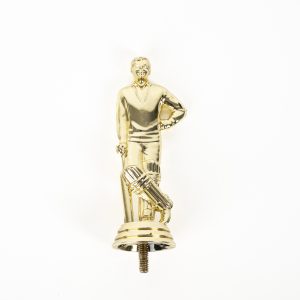 Gold Cricket Striker Riser