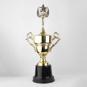 Gold Triumph Trophy