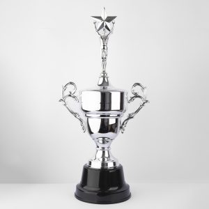 Silver Triumph Trophy