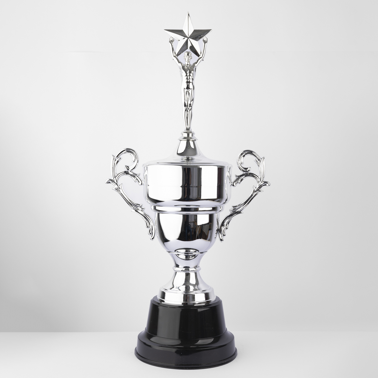 Silver Triumph Trophy