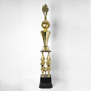 Summit Excellence Trophy