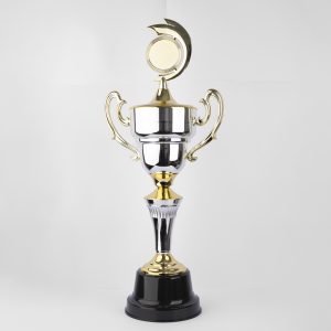 Silver Radiant Achievement Trophy