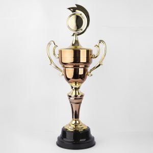 Bronze Radiant Achievement Trophy