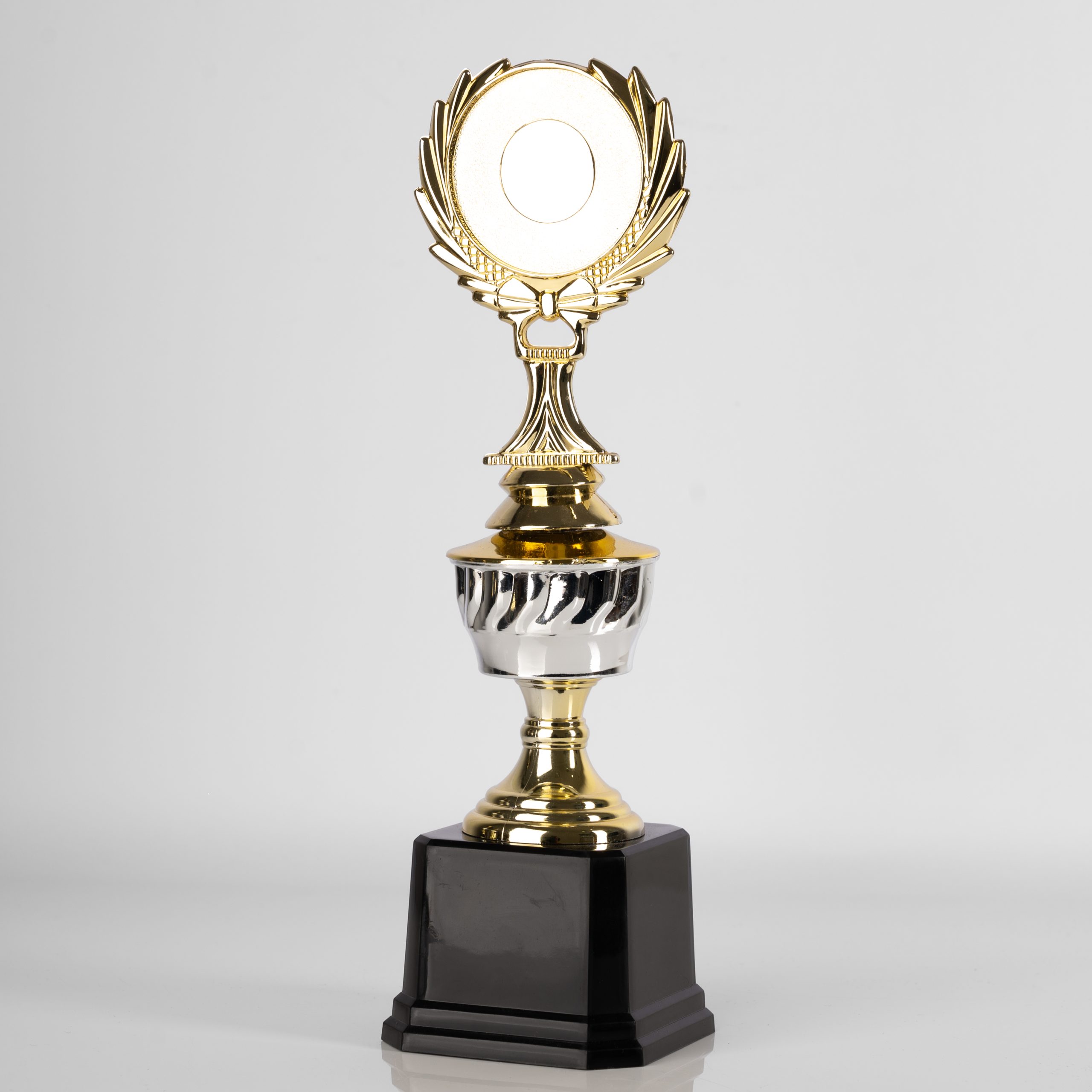 Silver Eminence Award - Image 4