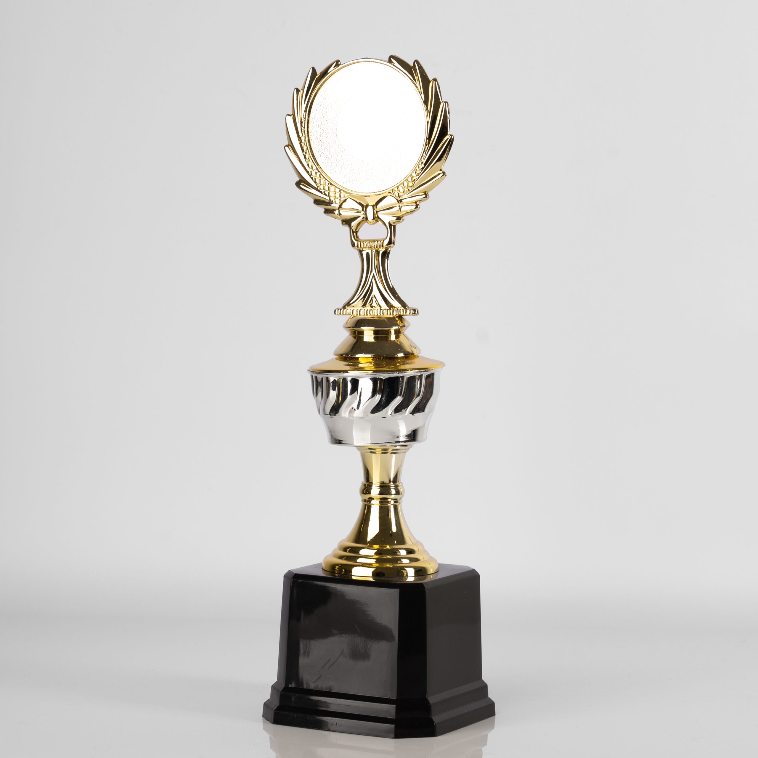 Silver Eminence Award - Image 3