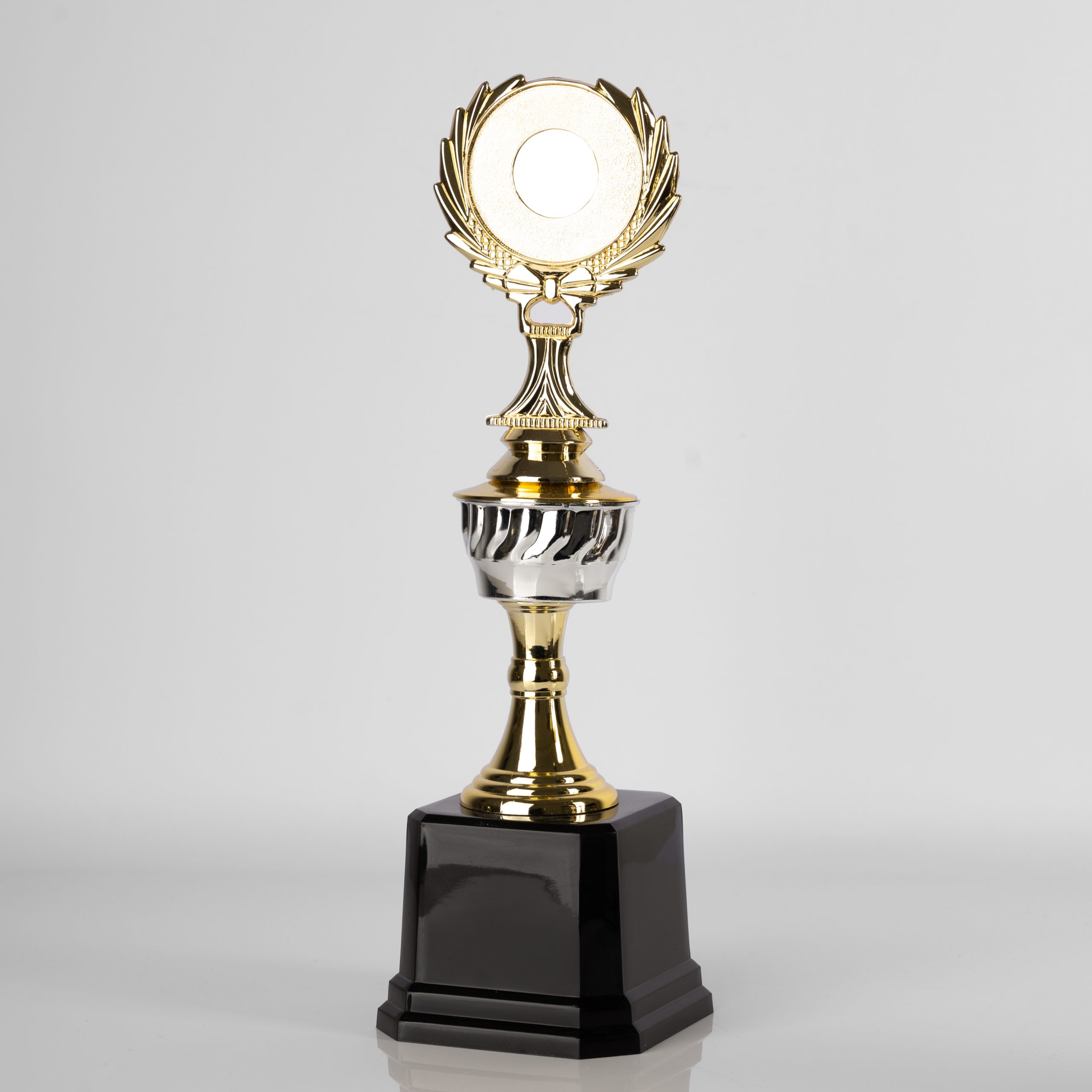 Silver Eminence Award - Image 2