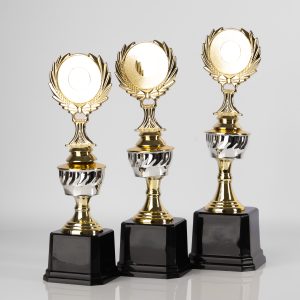 Silver Eminence Award