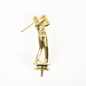 Gold Golf Swing Riser