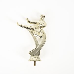 Gold Martial Arts Riser