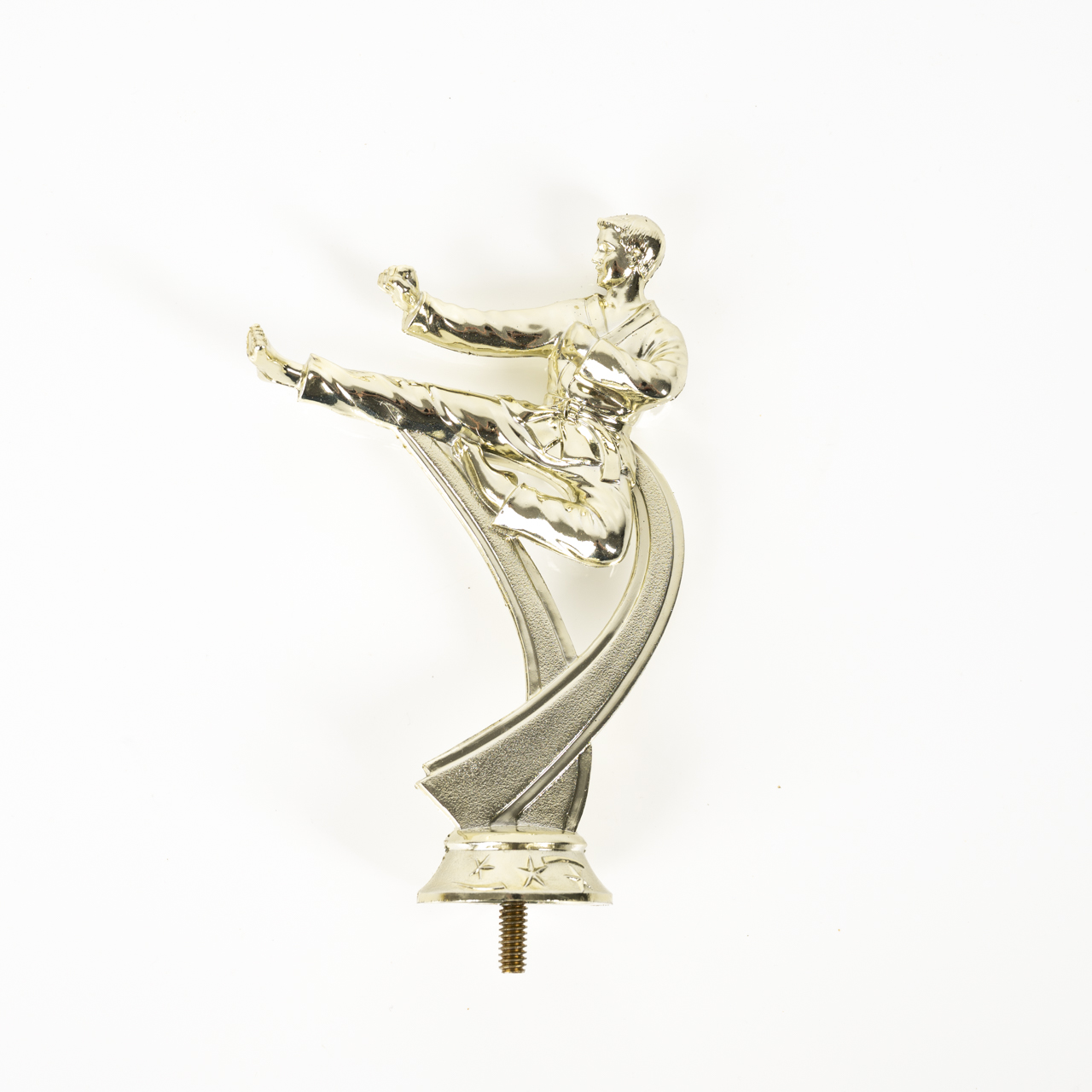 Gold Martial Arts Riser