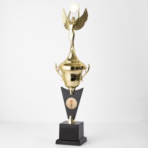 Crown of Achievement