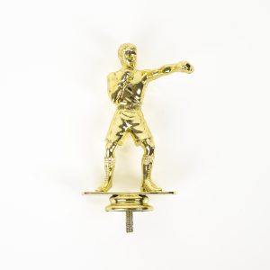 Gold Boxer Riser