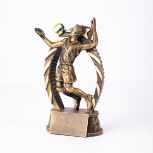 Male Volleyball Resin