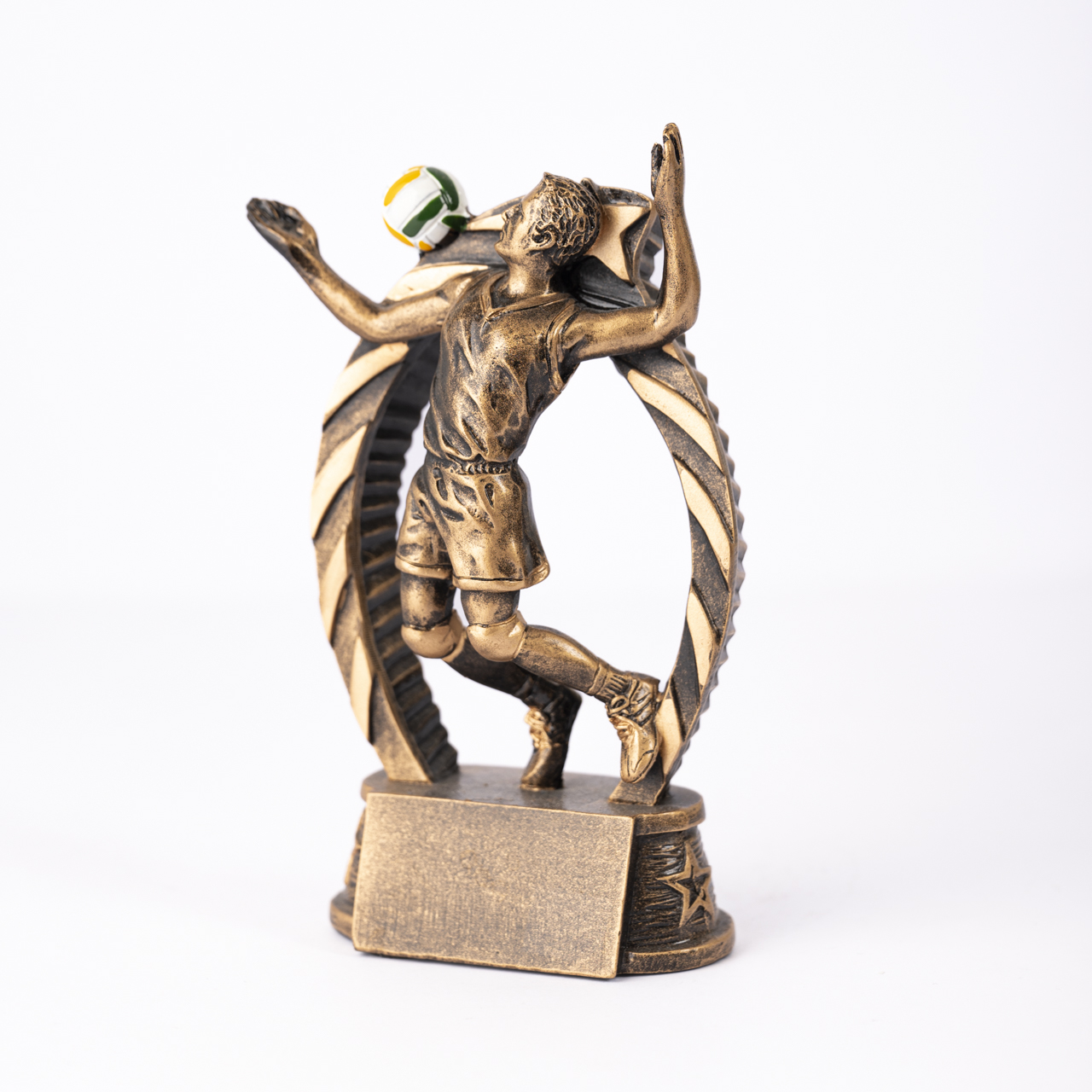 Male Volleyball Resin