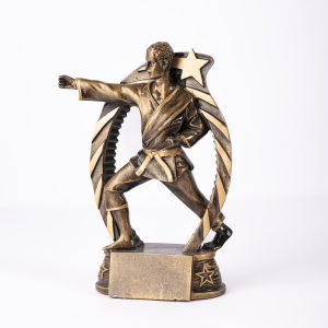 Martial Arts Resin