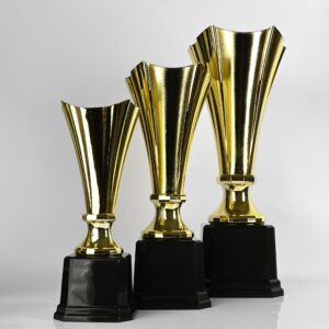 Brazilian Valor Cup