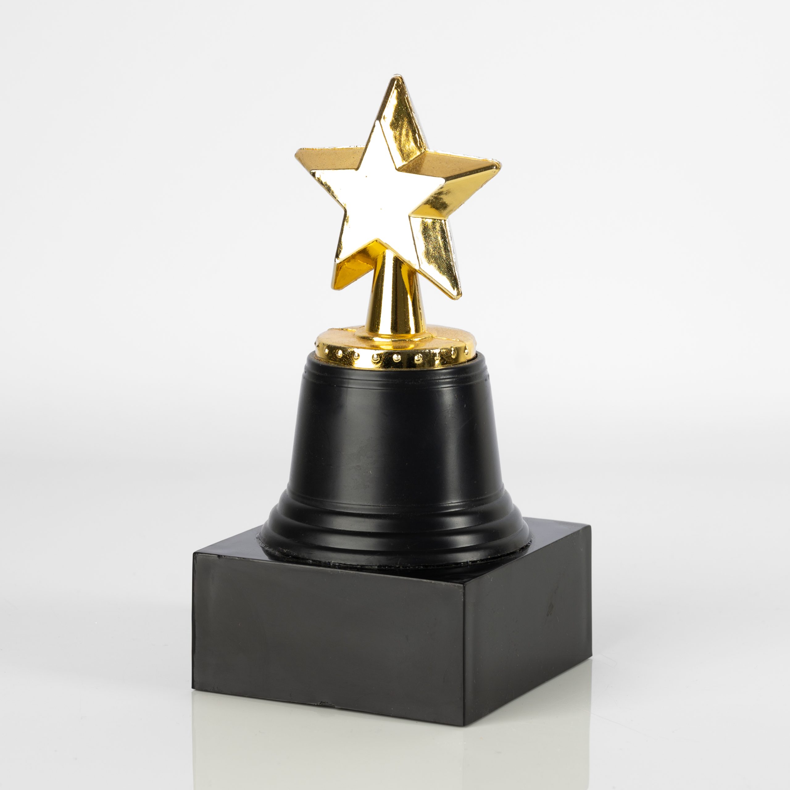 Stellar Achievement Award - Image 2
