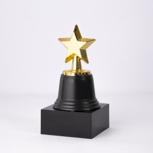 Stellar Achievement Award