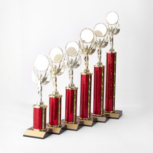 Carnival Column Award