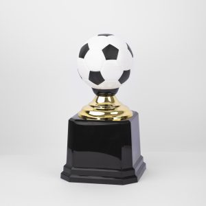 Victory Sphere Award