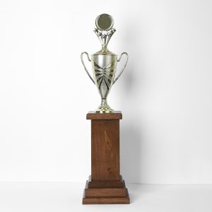 Pinnacle Achievement Trophy