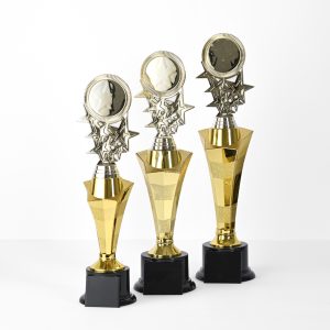 Shining Success Trophy