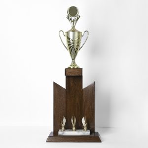 Apex Artisan Award