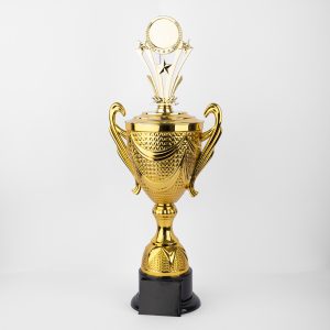 Radiant Success Trophy