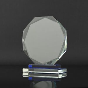 Small hexagon award 5.5" h x 4.5" w