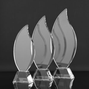 Ember Rise Trophy