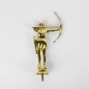 Artemis' Aim