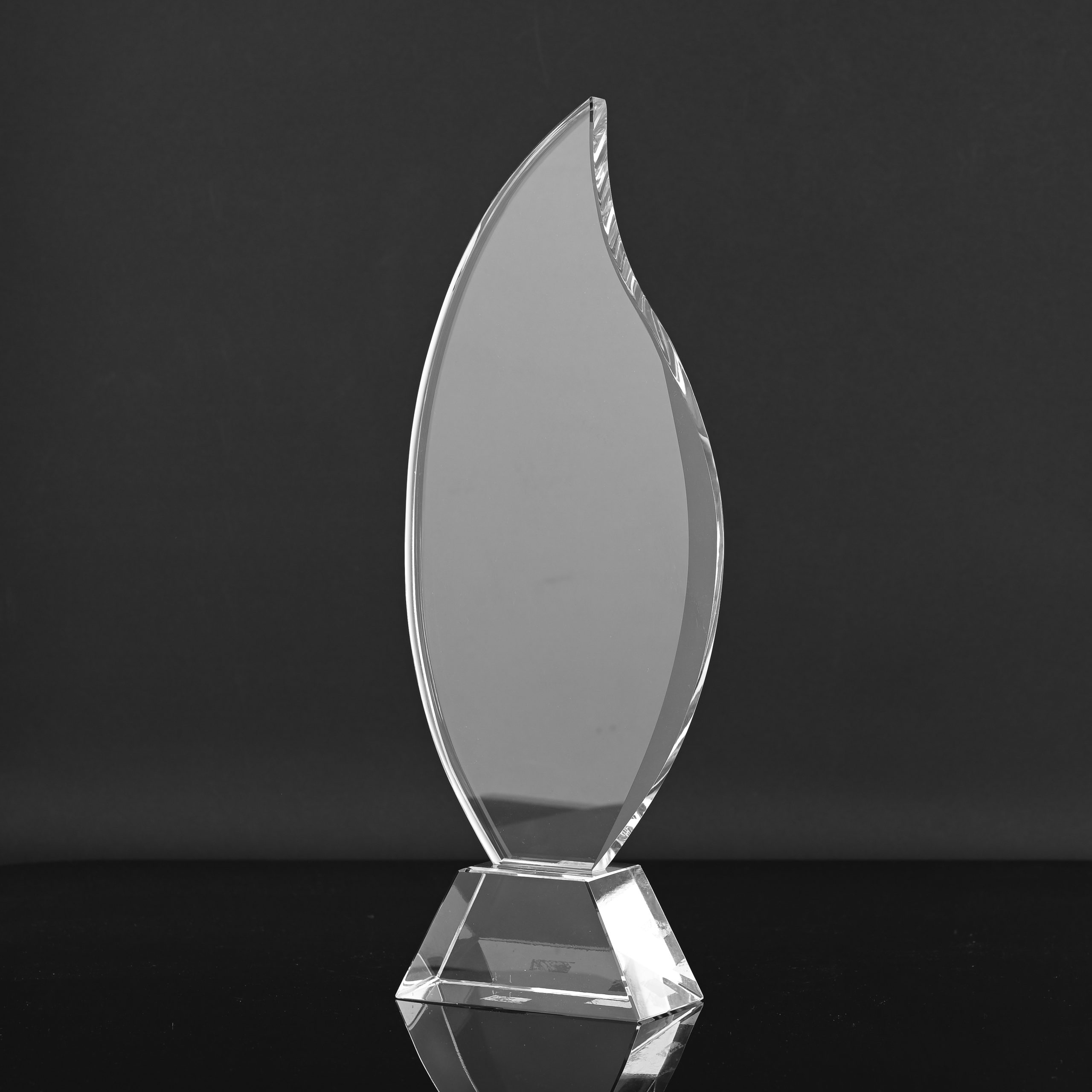 Ember Rise Trophy - Image 4