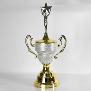 Two-Toned Triumph Trophy