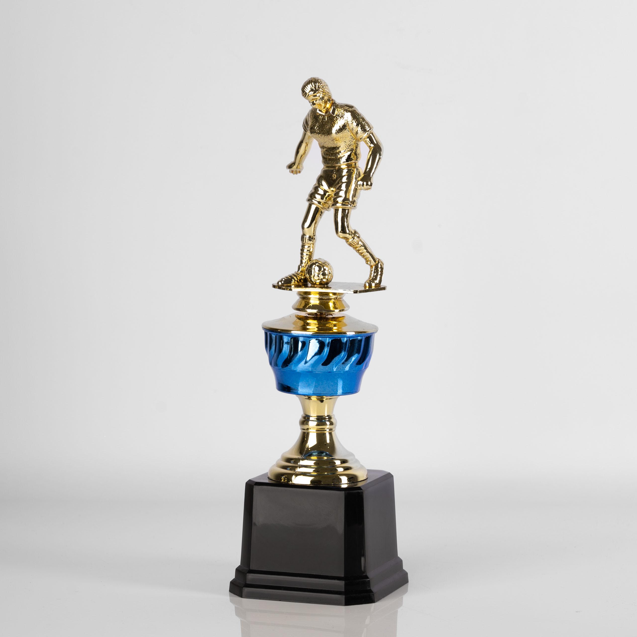 Football Champion's Mark - Image 4