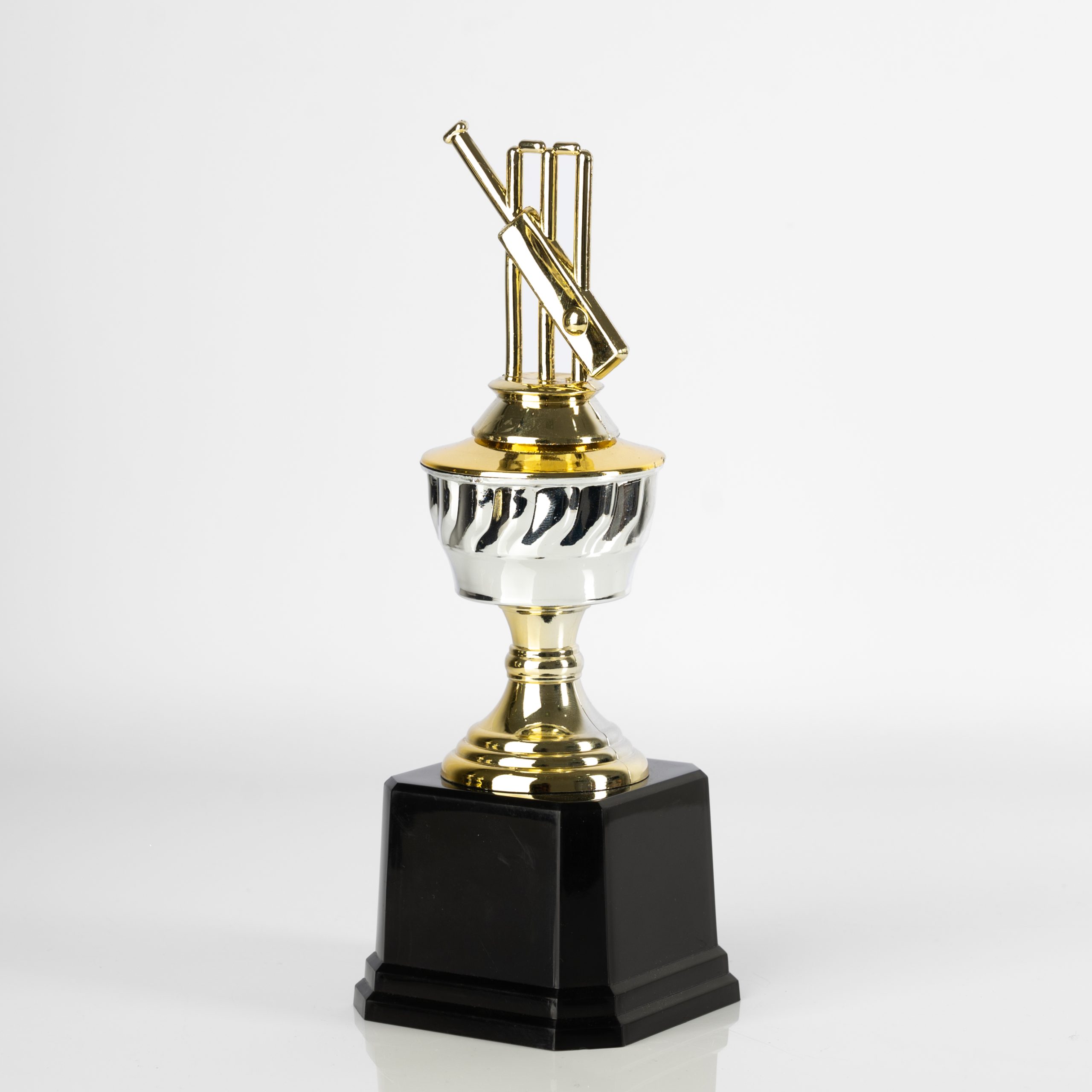 Cricket Champion's Mark - Image 3