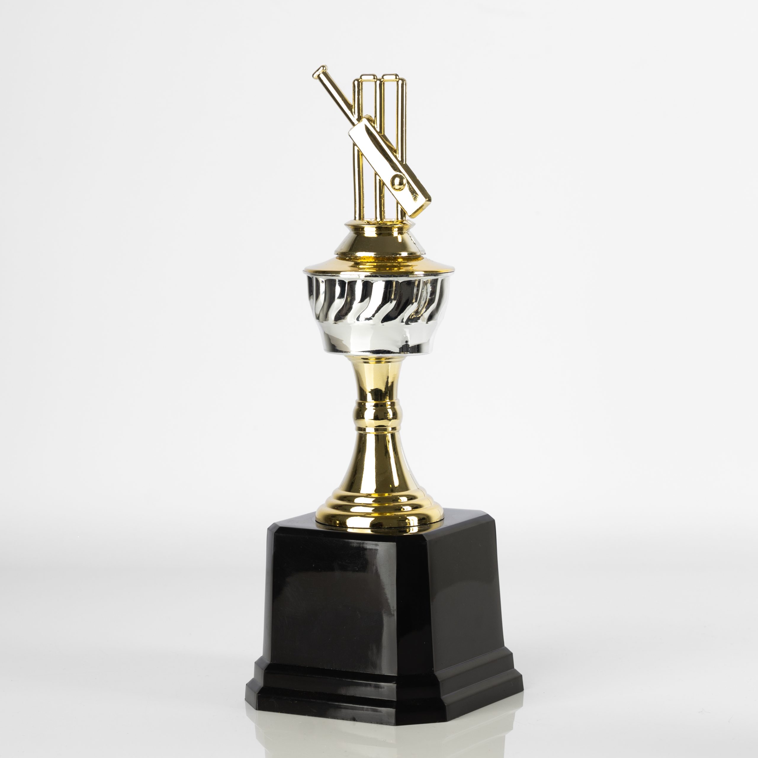 Cricket Champion's Mark - Image 2