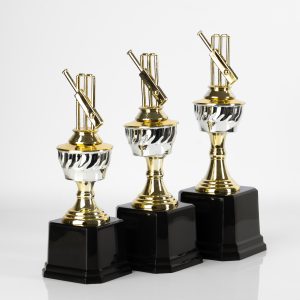 Cricket Champion's Mark