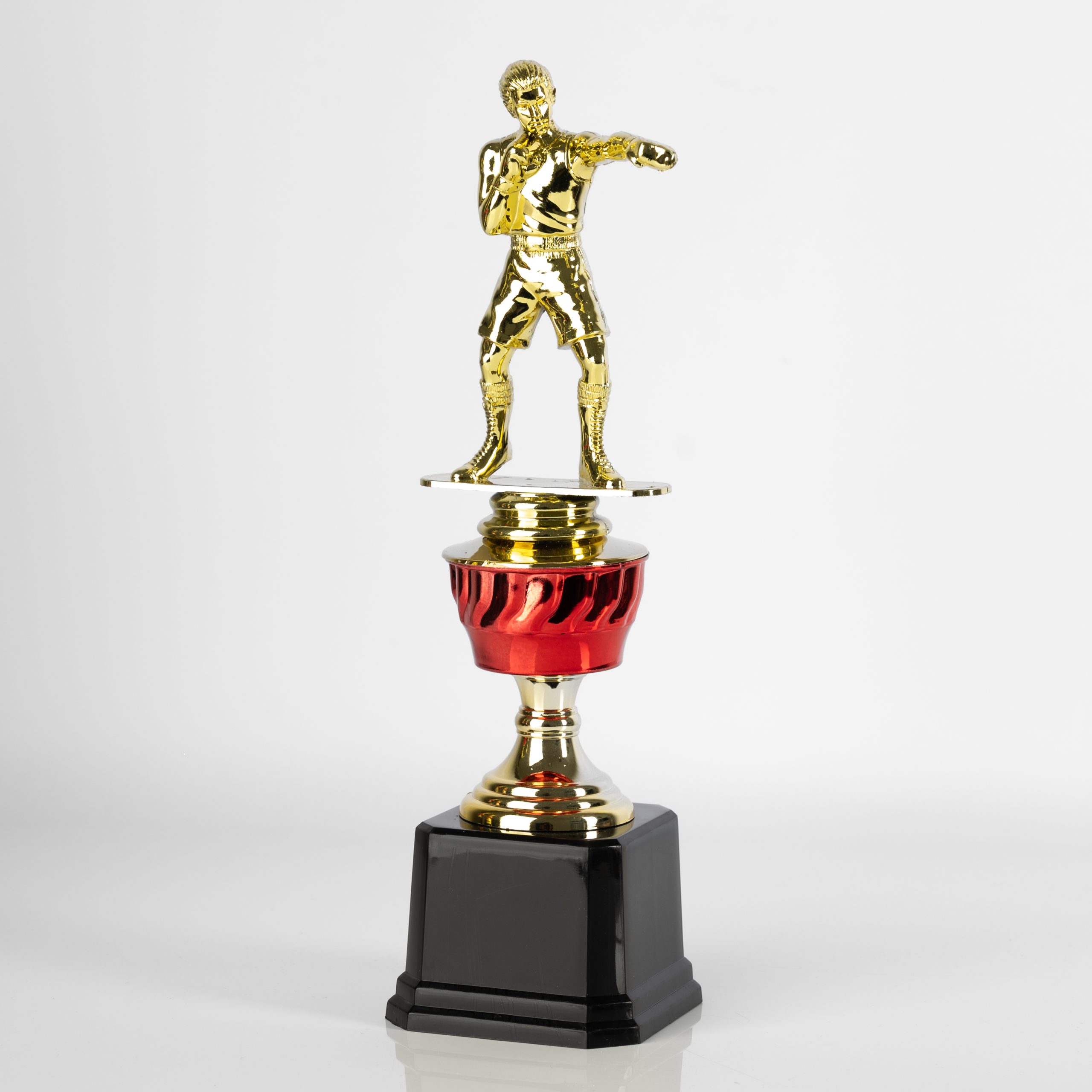 Boxing Champion's Mark - Image 4