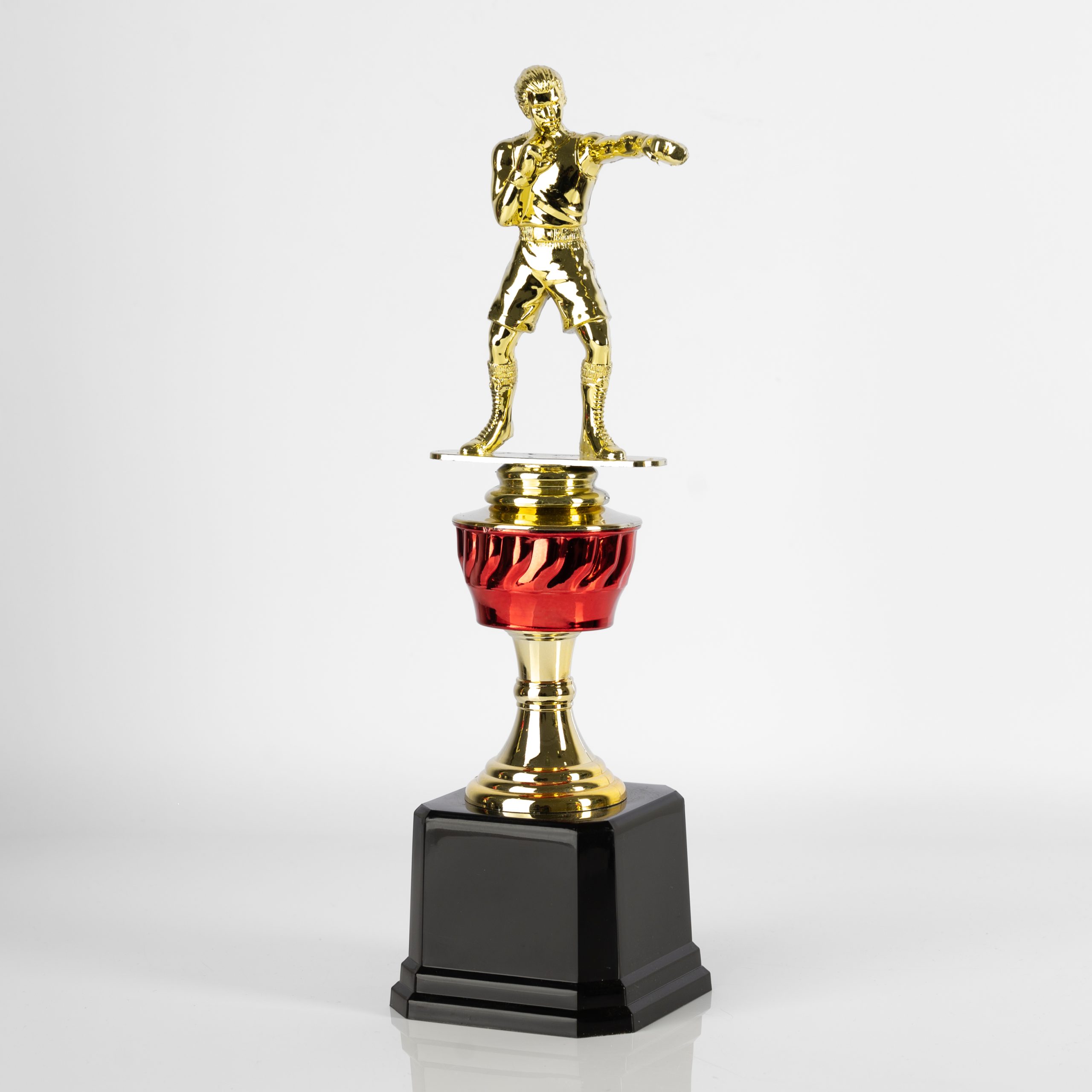 Boxing Champion's Mark - Image 3