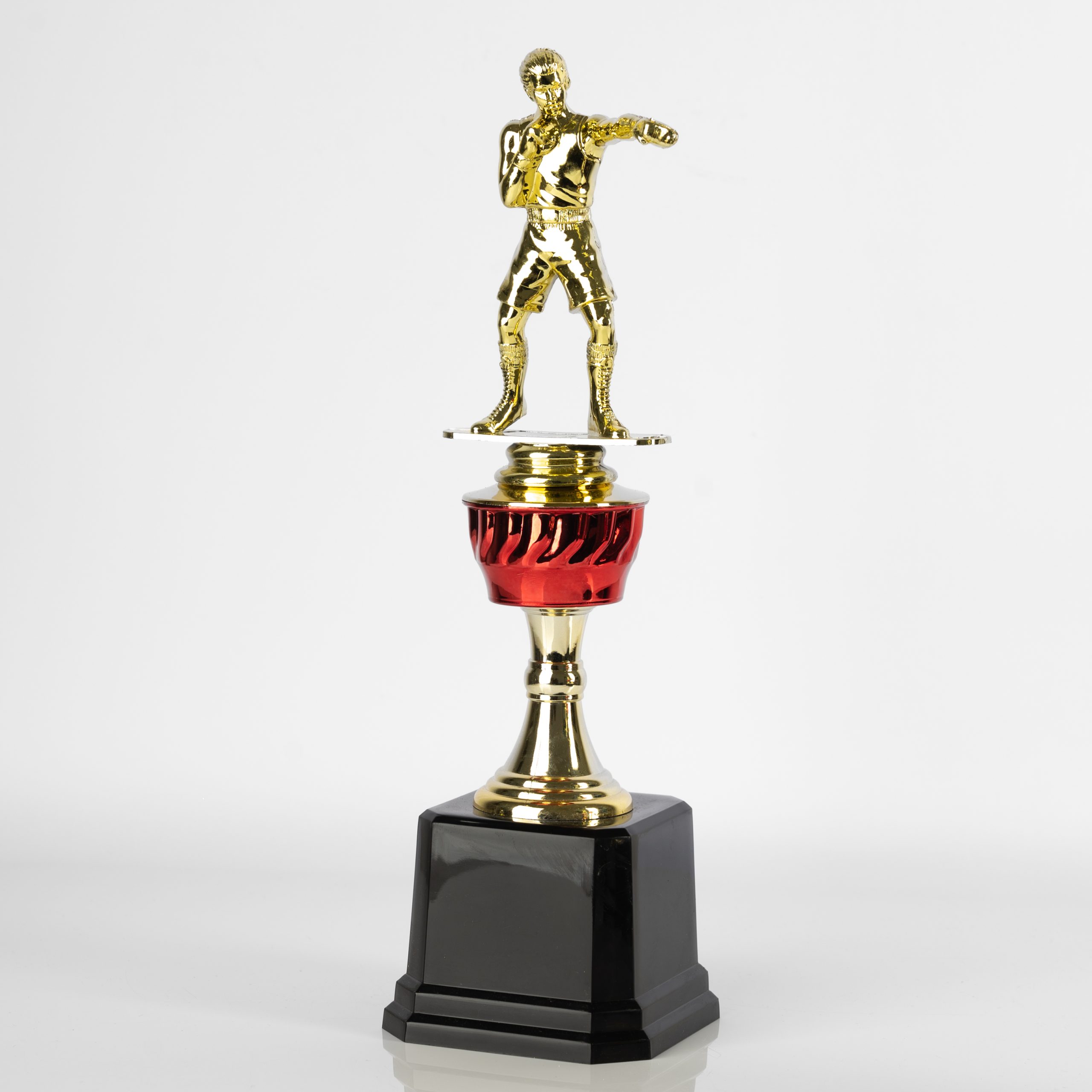 Boxing Champion's Mark - Image 2