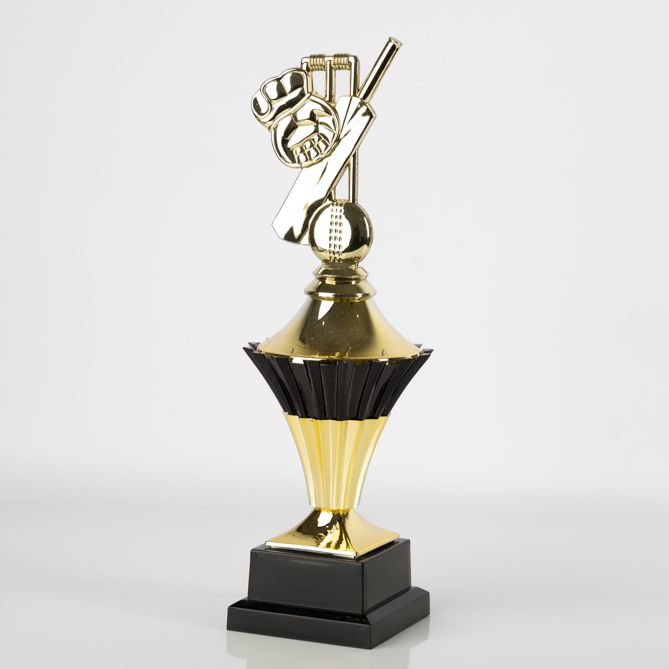 Agra Cricket - Image 2