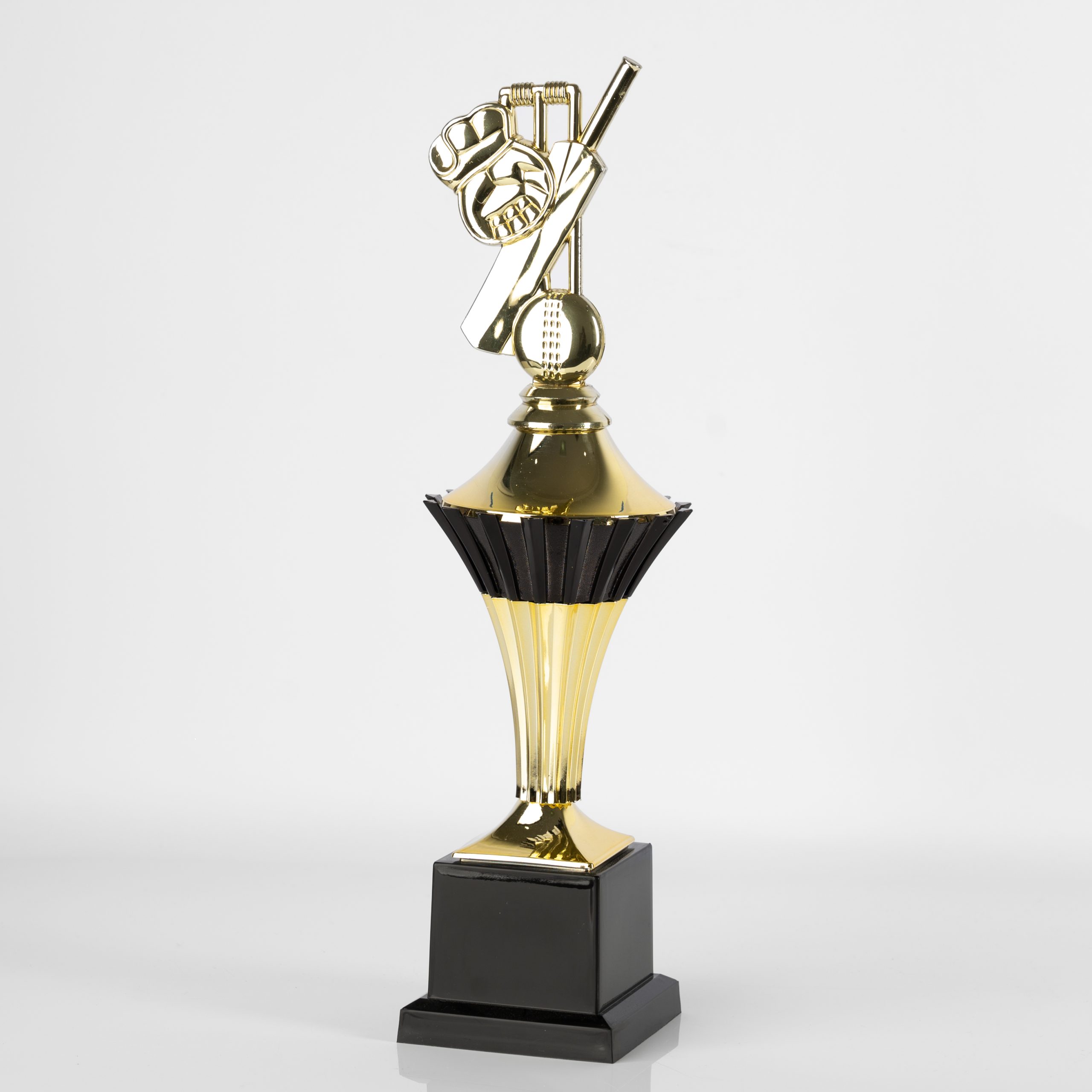 Agra Cricket - Image 3