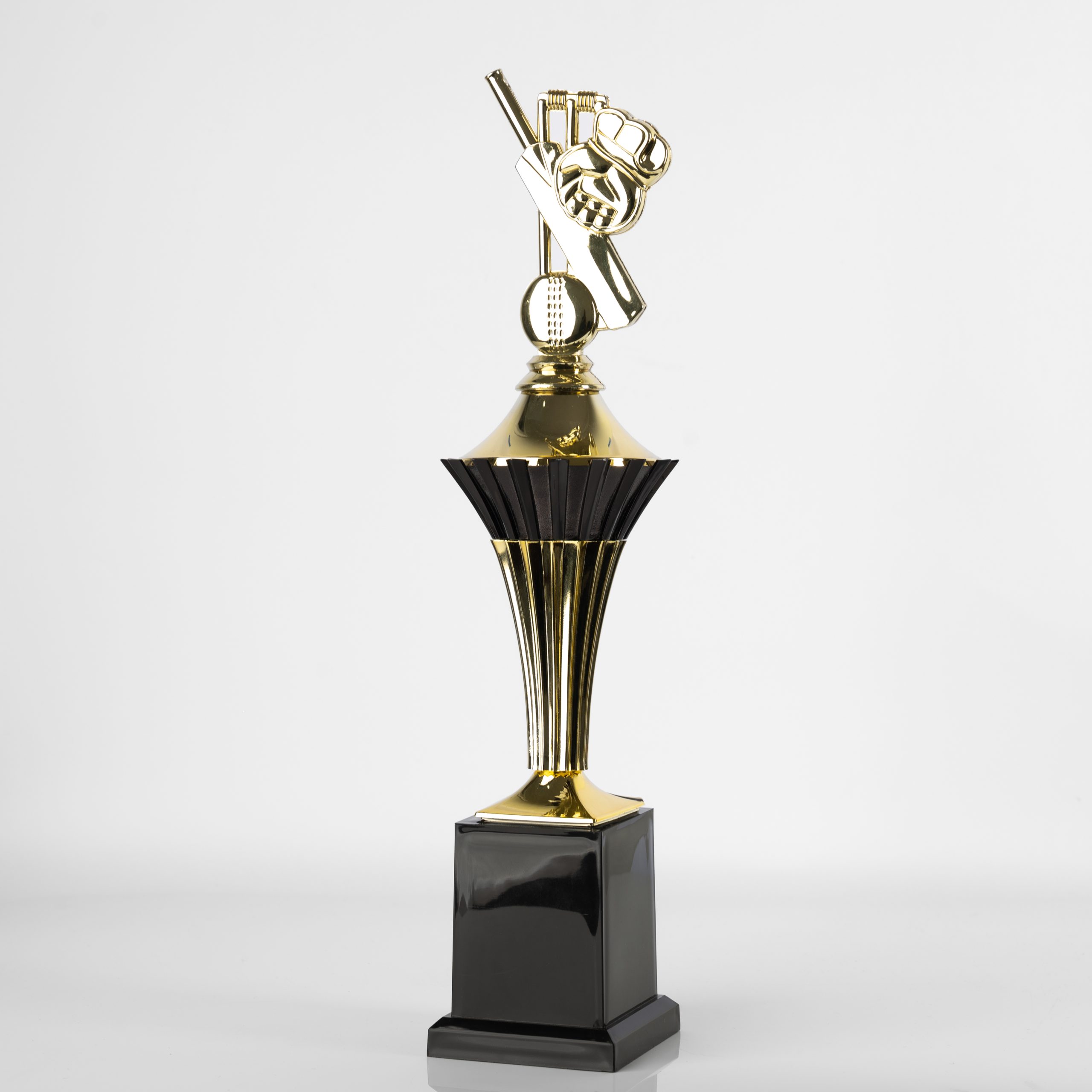 Agra Cricket - Image 4